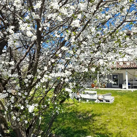 Armonie Di Campagna & Breakfast Di Valentini Sabina * Calderara di Reno